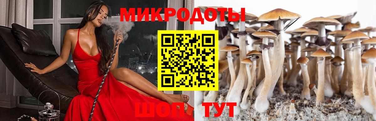 Галлюциногенные грибы Psilocybine cubensis  Галлюциногенные грибы MAGIC MUSHROOMS  Димитровград  Вход с VPN 